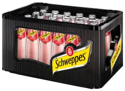 [02-0153] Schweppes Wild Berry  GLASS ( 24 x 0,2 L )