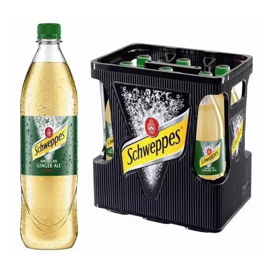 [03-0030] Schweppes Ginger  PET ( 6 x 1 L )
